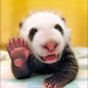 Meet your Posher, Robert